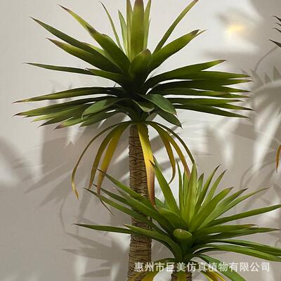 植真荷兰铁绿物树高杆观叶盆栽摆仿盆SCC景客件厅商场橱窗造景室