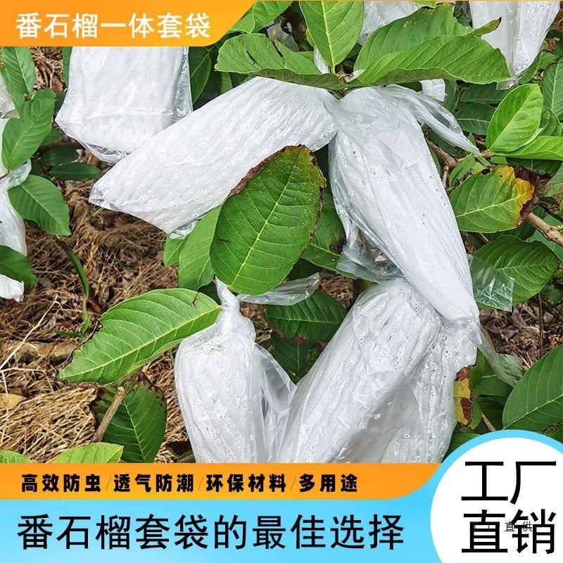 袋芭乐套袋OCI网加番石榴防虫包果套袋水果保护袋厚一体防虫套袋