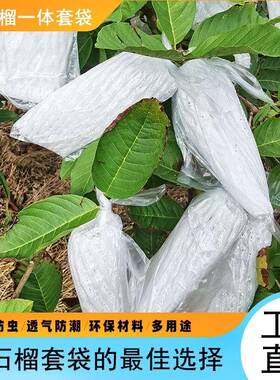 袋芭乐套袋OCI网加番石榴防虫包果套袋水果保护袋厚一体防虫套袋