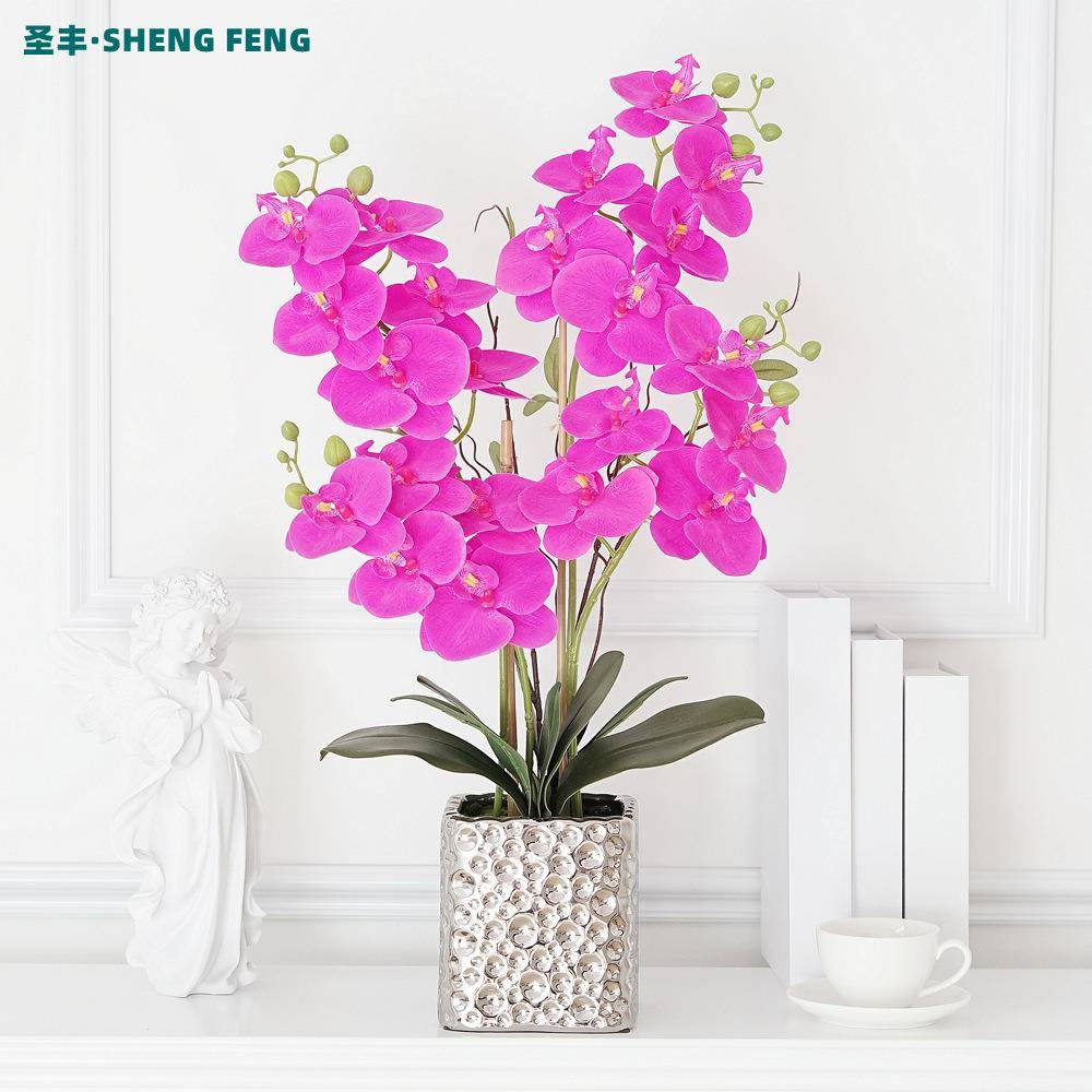 高档蝴兰无品牌/真花盆栽假花套装盆景客厅酒摆店仿插花陶瓷蝶件