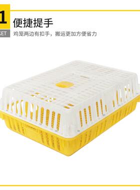 鸭塑料鸡加笼家笼禽运输WHK大号厚鸡筐成鸡周转箱笼鸽笼养殖家禽