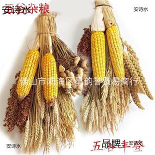 窗谷穗挂件水稻穗玉米棒子橱门上艺术插花面农作物五丰HFT登墙谷