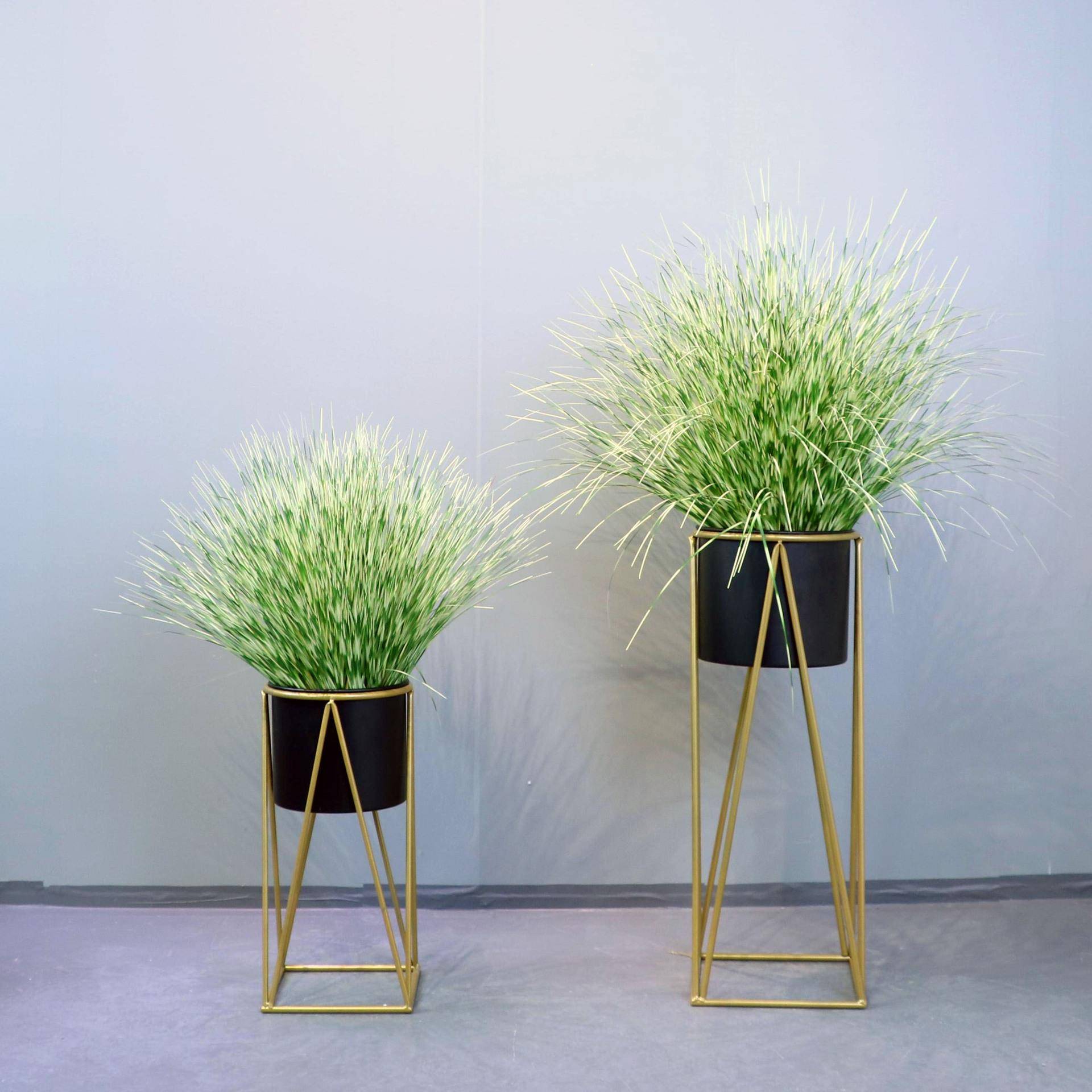 斑纹草仿生装芦苇草室多肉跨小盆景境商品内饰摆件源头JHO厂家