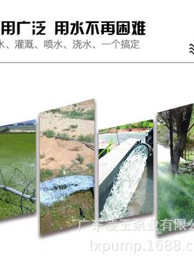 凌霄自吸泵清集水泵家用KLB增压泵农用浇灌牌泵工业压泵加体供水