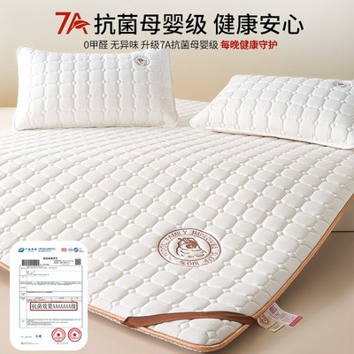 家庭用床垫南方防潮防霉床褥子垫单人不塌陷不变T形被褥铺底可折