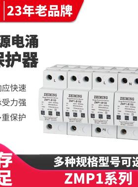 ZMP1系列浪涌保护器ZMP1-B2P(60-100kA)防雷器 电源电涌保护器
