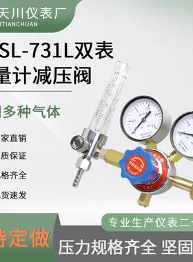 双表标力准气 体流量计减压阀压表YQS-70-1L31LL-1.5L25L钢瓶流量