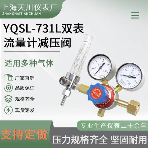 双表标力准气 体流量计减压阀压表YQS-70-1L31LL-1.5L25L钢瓶流量