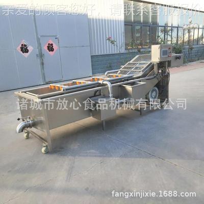 不锈钢气泡清洗PRP机 辣椒豌豆菜机花木耳全自动菜洗清 厂家蔬直