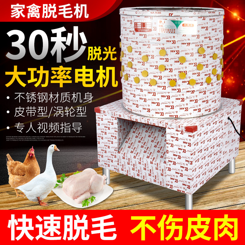 商用脱毛机鸡鸭鹅电动家禽乳猪去毛拔毛机不锈钢洗番薯土豆机