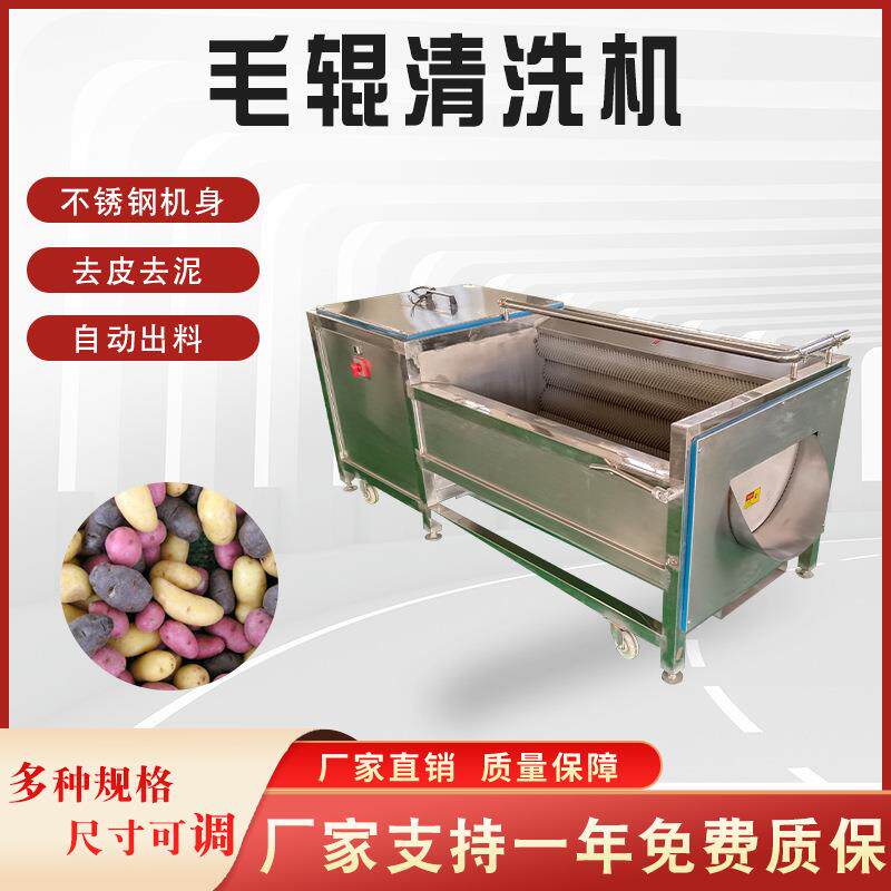 全自动甘荀毛刷清洗机 304不锈钢芋籽毛刷清洗机厂家供应