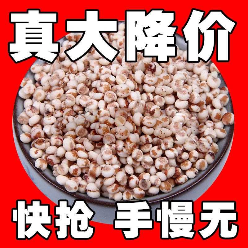 东北粘高粱米新米农家自产粗粮五谷杂粮可酿酒糍粑红高粱米糯高粱