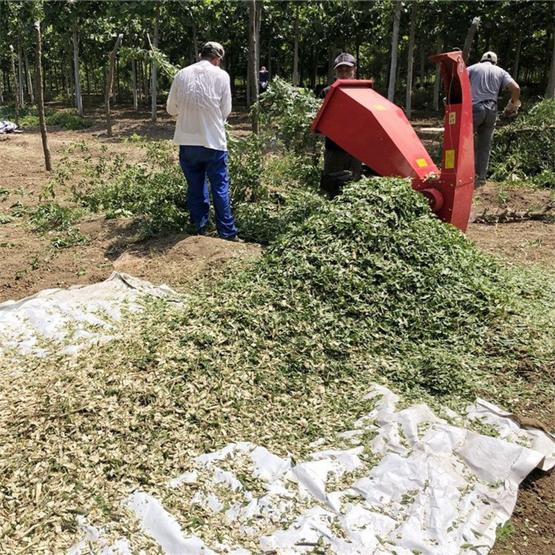 现货优惠电启动柴油碎枝机 小区果园杂枝处理切碎机 树枝粉碎机