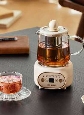 小南瓜养生杯办公室小型全自动加厚玻璃保温家用【YSB-102】