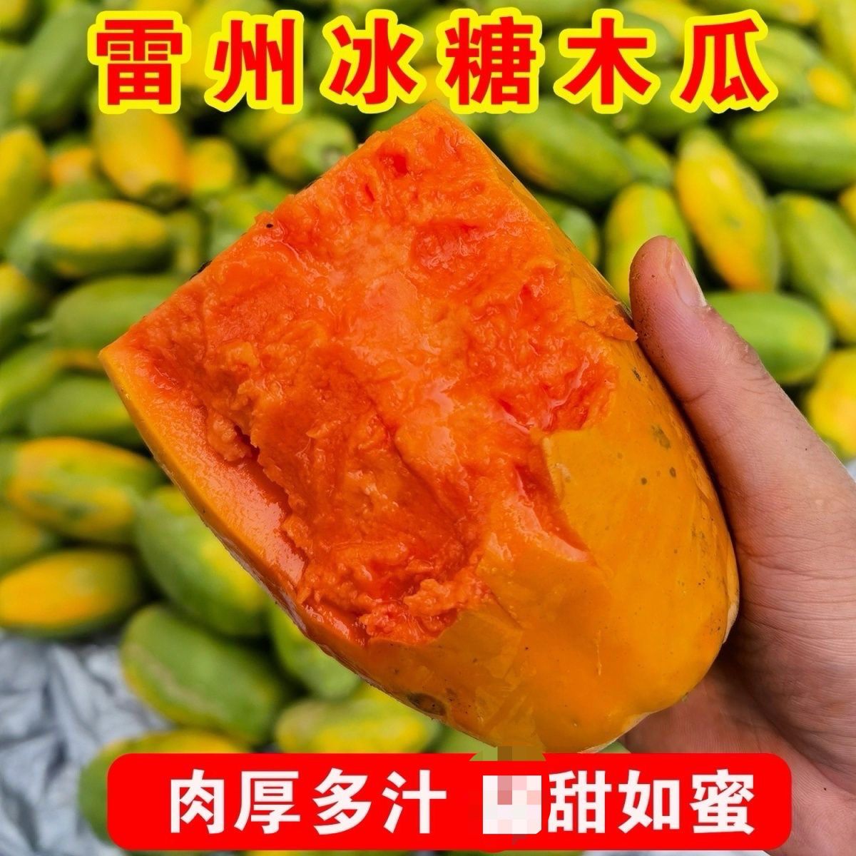 红心牛奶木瓜新鲜树上熟