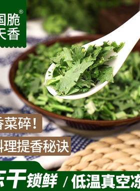 FD冻干香菜15克罐装商用天然脱水免切免洗蔬菜干泡面香菜碎耐储存