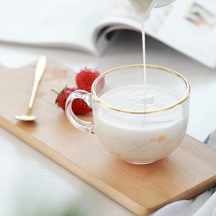 家用金边带盖玻璃杯早餐杯咖啡带把牛奶杯酸奶杯耐热玻璃杯子