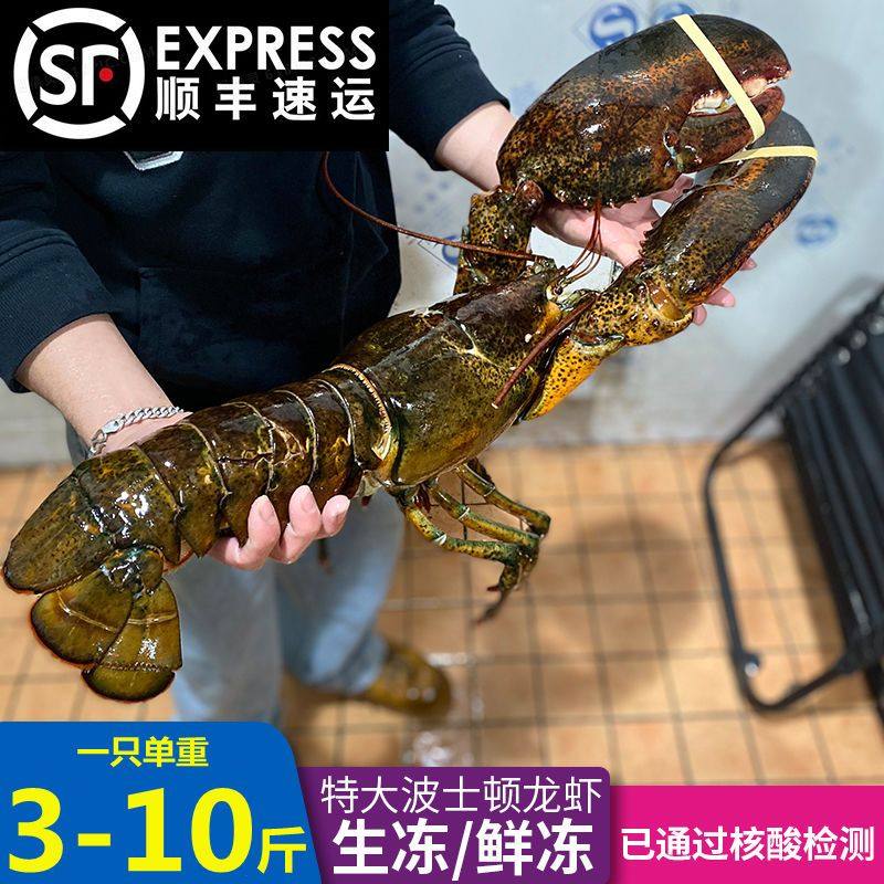 生冻波士顿龙虾特大10斤波龙海鲜澳龙鲜活速冷冻帝王蟹大龙虾包邮,水产肉类/新鲜蔬果/熟食,冻虾,淘宝优惠券,粉丝福利购,淘宝优惠卷