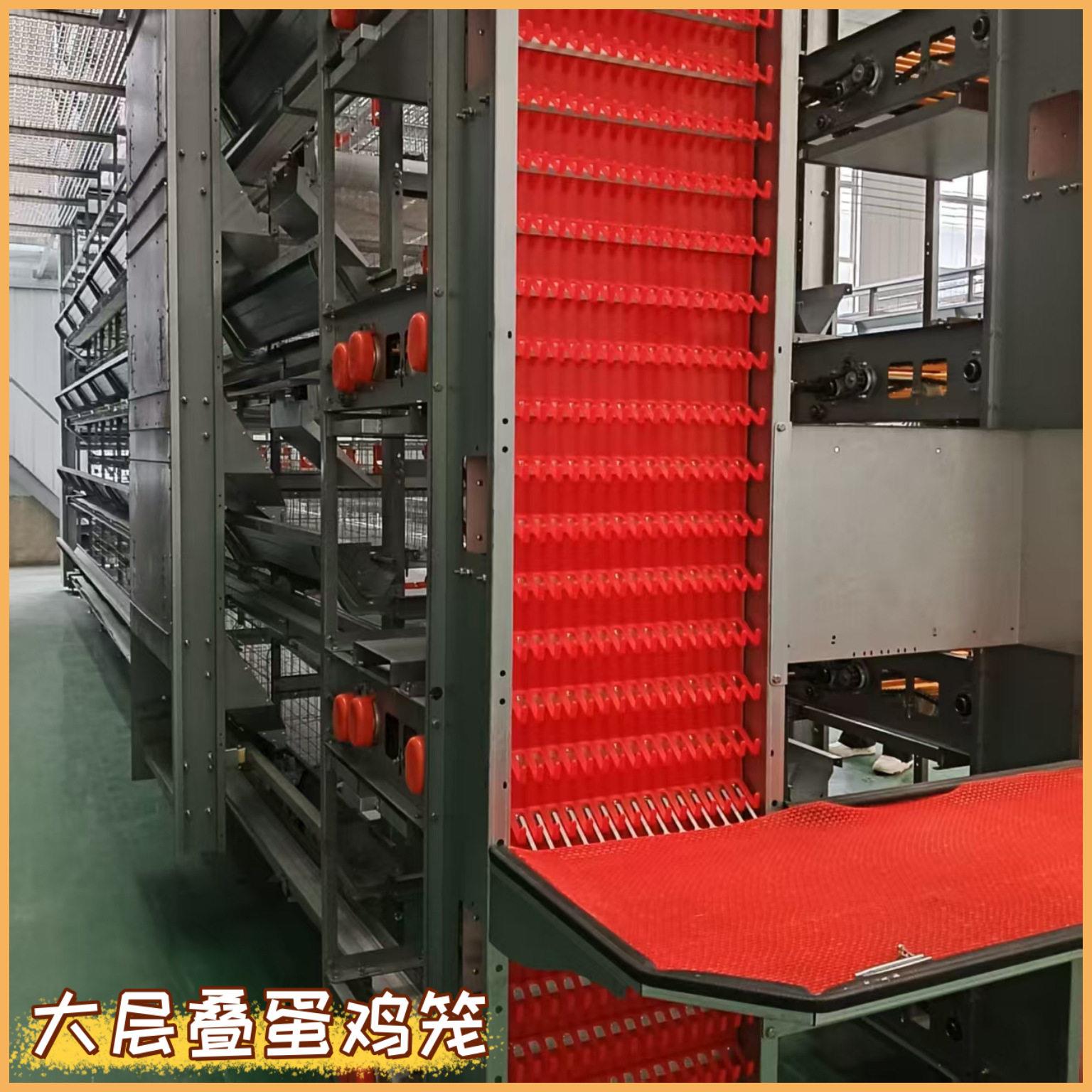 全自动大层叠蛋鸡笼鸭笼鹅笼养鸡场蛋鸡养殖设备自动化养殖笼具