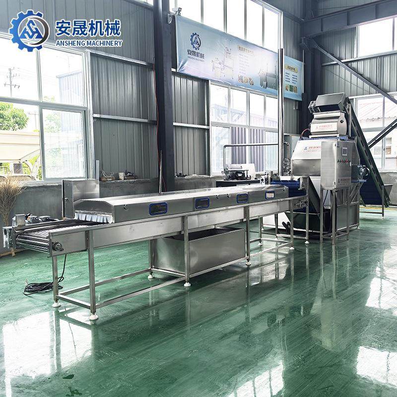 商用胡萝卜莲藕去皮机黄桃西红柿加工脱皮设备番茄高温水果爆皮机,清洗/食品/商业设备,休闲食品加工设备,淘宝优惠券,粉丝福利购,淘宝优惠卷