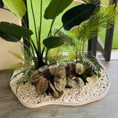 仿真绿植造景花槽围栏高性价比硅胶条 围栏户外栅栏防腐木篱笆