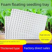 135 160 105 162 泡沫育苗盘水培育苗水上漂浮托盘水培漂浮板200