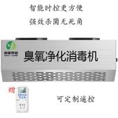 壁挂式 臭氧产生器消毒机食品厂车间垃圾房消毒杀菌除臭空气净化器