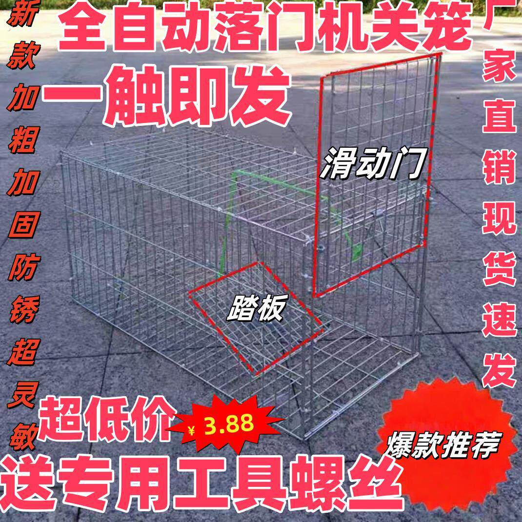 户外鸽子笼大号天落笼自动收鸽笼只进不出自动落门笼滑动门机关笼