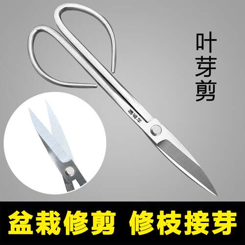 金厨堡园艺剪刀不锈钢盆景插花剪刀叶芽剪盆景修剪花艺剪园艺剪刀