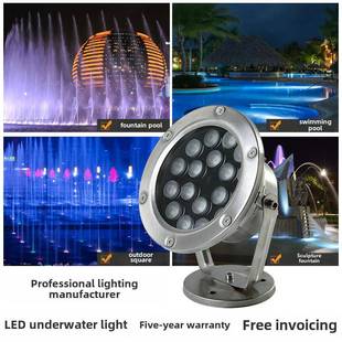 水下灯Led防水彩色水下景观灯鱼池灯水池灯喷泉灯假山射灯水下灯