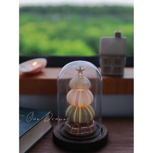 一个抽屉 贝壳海胆灯小夜灯摆件手工diy材料包生日礼物