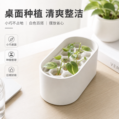 【仅一单】2个：葱蒜水培种植盒