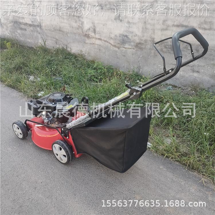 290汽手推剪程草机四冲草坪 修剪园油林绿化除草机
