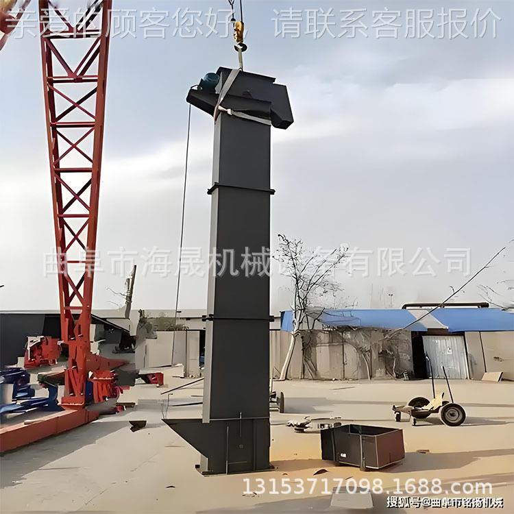 水0泥铁钉斗式上 玻璃渣机加厚输送机 ne5料双板链PIB斗式提升机