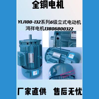 浙江瑞安鸿-祥力矩电相机YLHFVJ100132列6级立式三电动系机