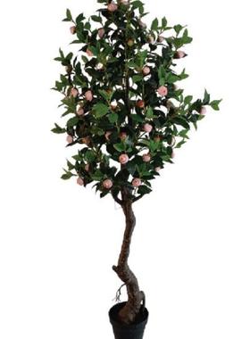 仿真厂花人造塑料景观树盆栽窗茶软装造景摆橱件仿真茶花AL-62053