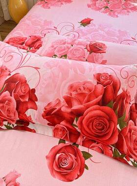 新款双层边裙床套件韩版公主风柔卧室滑磨OYF毛床单双软防人床罩