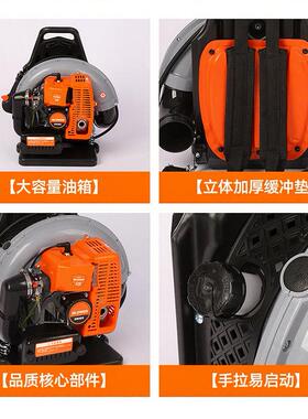 吹雪机用E6专50吹风B背负式ZIN汽油吹雪机道路清洁大棚清雪尘二冲