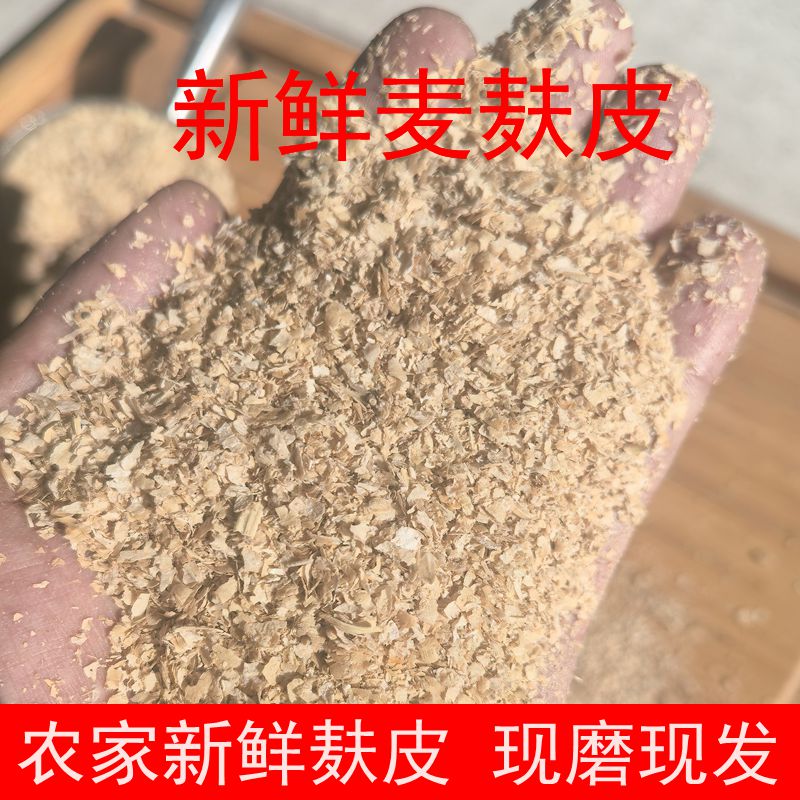 新鲜现磨小麦麸子皮麸子钓鱼饵鸡鸭鱼鸟猪动物饲料麸皮麦子皮米糠