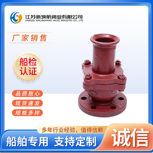 法兰铸铁吸入止回阀船用海水逆止回阀舱底单向阀门CBT3478RDN5080