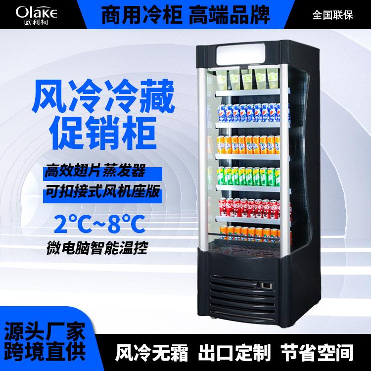 定制冰柜商用饮料柜风幕柜冷藏展示柜保鲜柜风幕柜