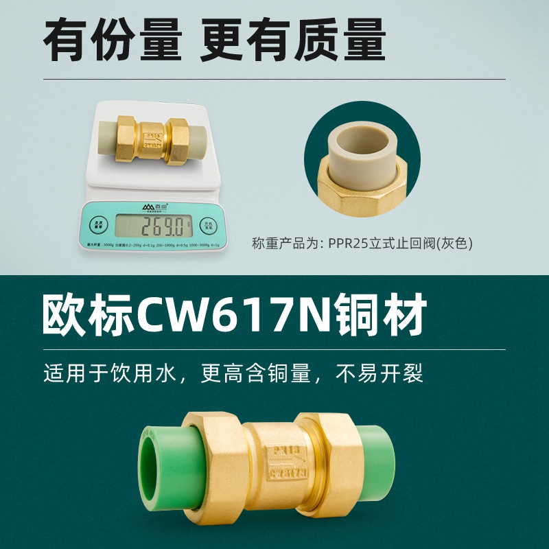 25ppr止回阀单向阀热熔水管配件32活接4 6分水表40卧立式逆止阀50