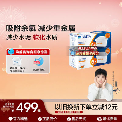BRITA碧然德滤芯滤水壶家用净水器净水壶去水垢专家版滤芯12枚装