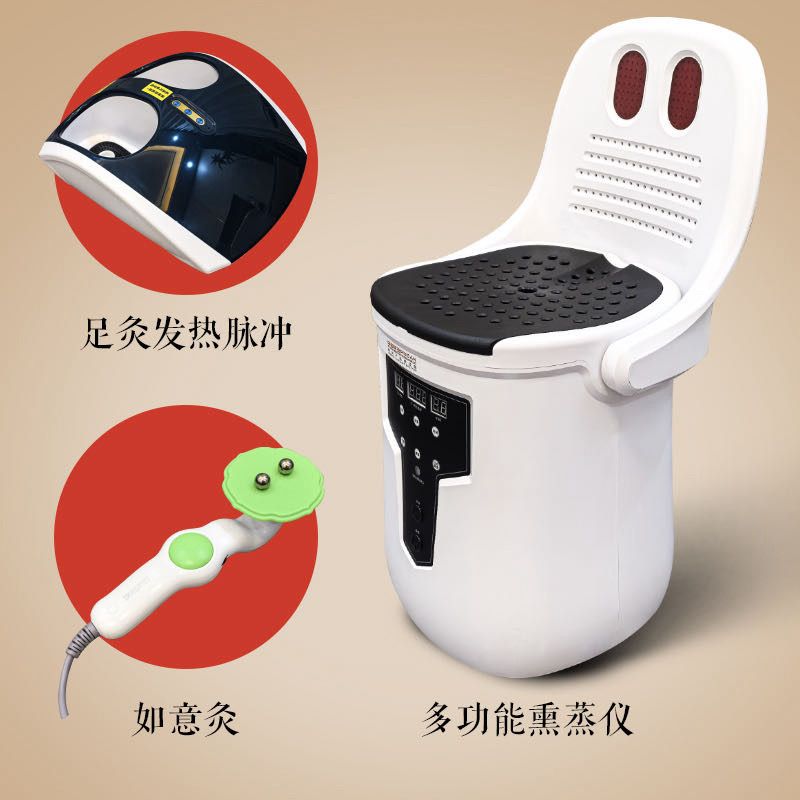 全新多功能熏蒸仪中国健