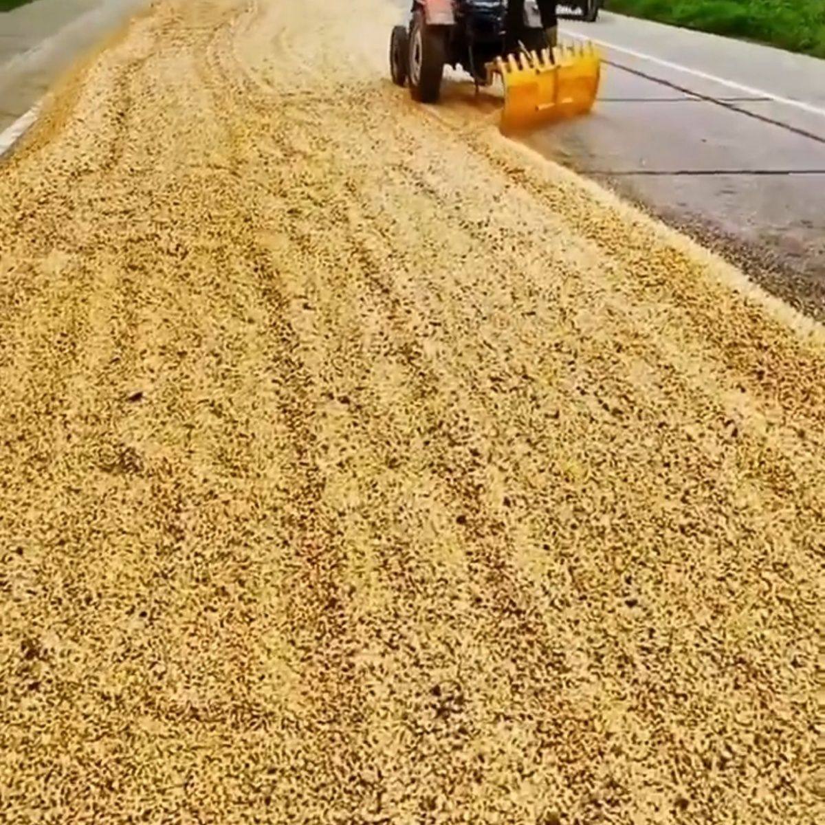 全能型粮油加工机晒粮、翻粮、堆粮一键搞定高效新款,农机/农具/农膜,耙子,淘宝优惠券,粉丝福利购,淘宝优惠卷