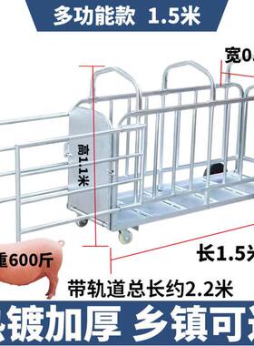 收猪猪笼笼子加厚厂家猪