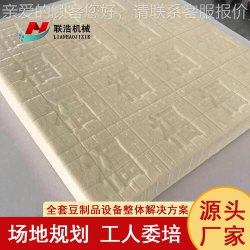 中全自动型豆腐机 全套中型豆腐豆腐加工多备 一机用设彩色豆腐机