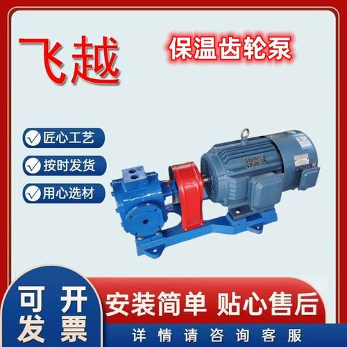 5立方保温齿轮泵夹套齿轮泵380V/220V电动卧式铸铁沥青保温泵