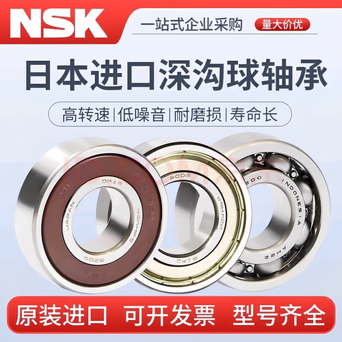 NSK进口轴承 6300 6301 6302 6303 6304 6305 6306 6307ZZ/DDUCM