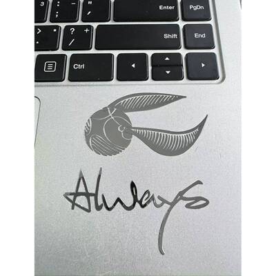 呼神护卫Expecto Patronum车贴 哈利波特车贴 Always特斯拉金属贴